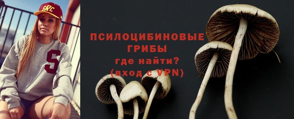 прущая мука Гусев