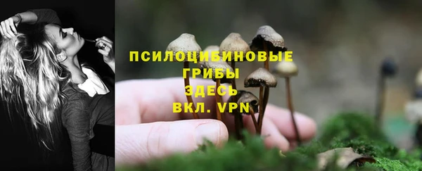 альфа пвп VHQ Гусиноозёрск