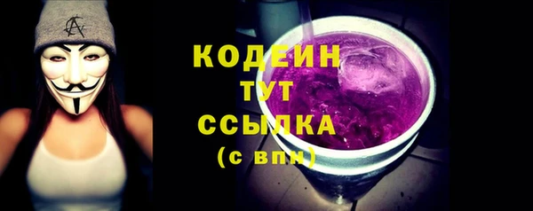 тгк Гусь-Хрустальный