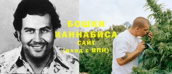 тгк Гусь-Хрустальный