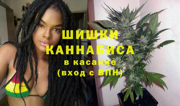 тгк Гусь-Хрустальный