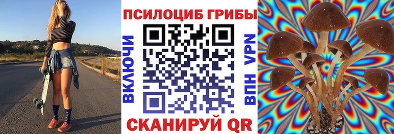 Галлюциногенные грибы MAGIC MUSHROOMS  Купить  Усть-Джегута 